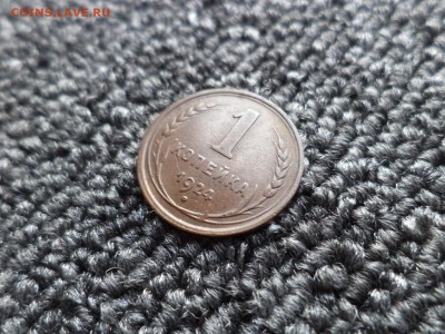 1 копейка 1924 года - DSC09736.JPG