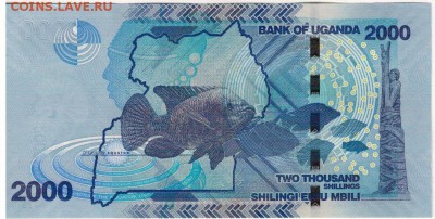 Уганда 2000 шиллингов 2015 до 06.02.2018 в 22.00мск (Г47) - 1-1уг2000