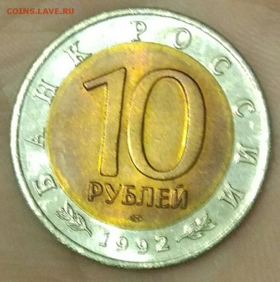 Краснозобая казарка КК 1992 до 04.02. - IMG_20180131_175718