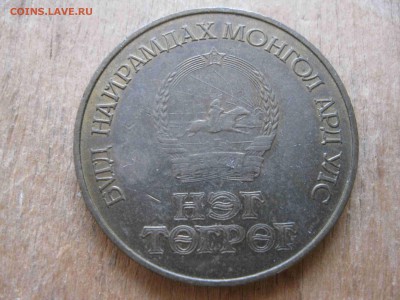 Тургик МНР - IMG_5400_thumb