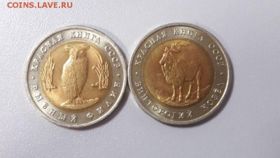 Красная книга 1991г: Филин+Винторогий Козел, до 06.02 - Филин-Козел-2