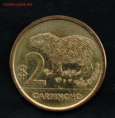 УРУГВАЙ 2 ПЕСО 2011 КАПИБАРА - 3 001