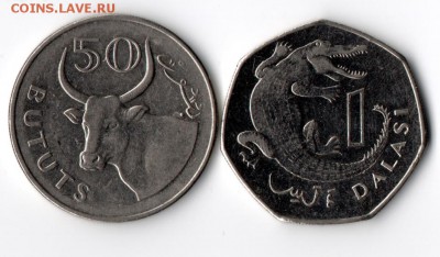 Гамбия 50 бутутов, 1 даласи до 06.02 - g2