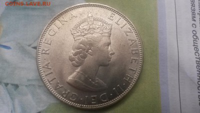 1 крона бермуды 1964г. до 06.02.18 в 22-00 - 20171129_100614