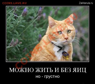 юмор - 50