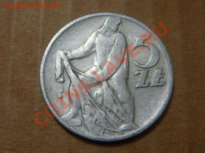 -v- Польша 5 злотых 1958 до 7.04(21.00) - DSC01484.JPG