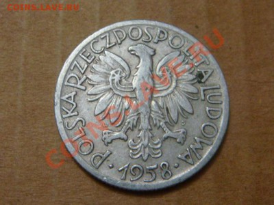 -v- Польша 5 злотых 1958 до 7.04(21.00) - DSC01485.JPG