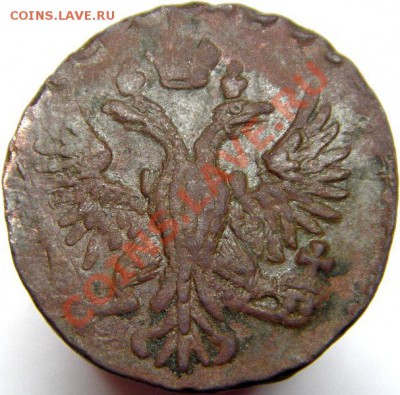 Две толстых деньги 1750 и 1751 гг. (до 05.04.2011 22:00 МСК) - IMGP4796.JPG