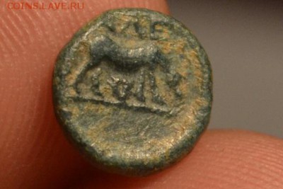 Антика.Троада.Александрия 261-227 год до н.э - CSC_0183.JPG