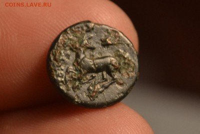 Антика.Иония Эфес 300-250 год до н.э - CSC_0166.JPG