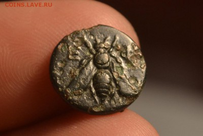 Антика.Иония Эфес 300-250 год до н.э - CSC_0167.JPG