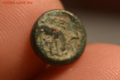 Антика.Троада.Александрия 261-227 год до н.э - CSC_0156.JPG