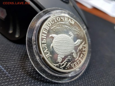 1 рубль 2003г. Дальневосточная черепаха до 08.02 - 20180205_150007