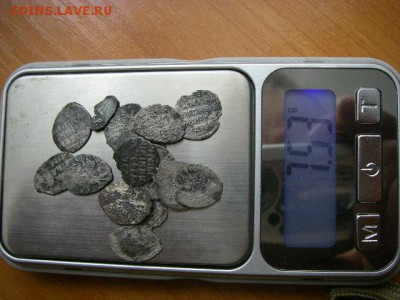 кошелёк чешуек. - IMGP2989.JPG
