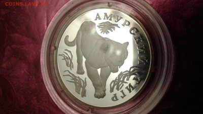 1 рубль 1993 амурский тигр серебро пруф. 10.02.18  22:00 - 1517847003259-1178439330
