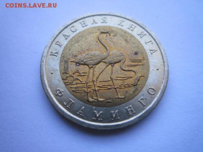 КК ФЛАМИНГО 50 руб 1994 до 11.02.18 в 22:30 - IMG_8810.JPG
