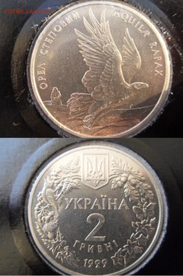 Украина 2 гривны 1999 Орел степной до 11.02.2018г. - f5