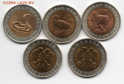 Красная книга 1992-93. Оценка - img192