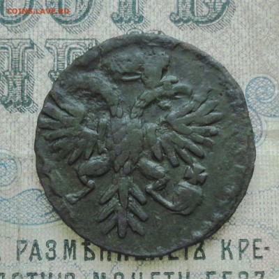 Денга 1731 года До 11.02.18. - DSC03781.JPG
