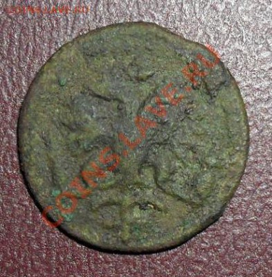 полушка 1721 цифра 7 зеркальная,копейка 1713 г. - SAM_1425.JPG