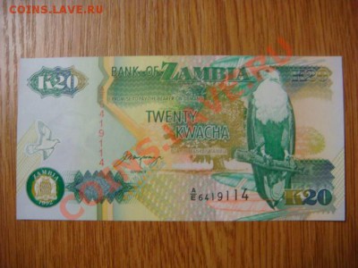 -v- Замбия 20 квача 1992 до 7.04(21.00) - DSC01588.JPG