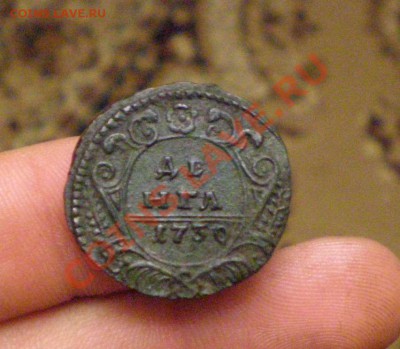 Деньга 1730 года - P4020115_thumb