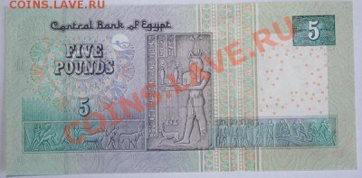 Дешевые иностранные боны - Египет 5 фунтов 2008-09г 1