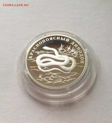 КК1 рубль 2007г.(краснопоясный динодон),Ag925,до 16.02.18г.. - 1-2007-3