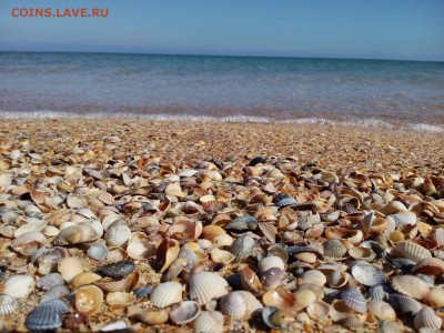 Кто стережет ваши монетки ? - море