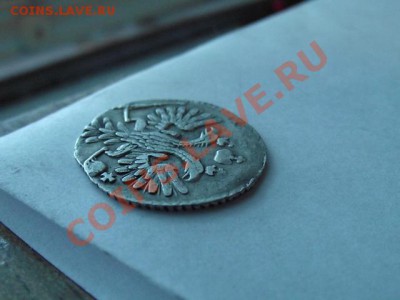 определение подленности - DSCF4880