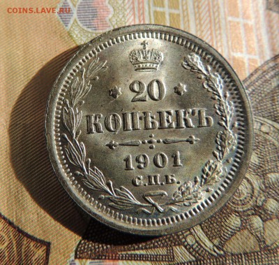 20 копеек 1901 UNC (Оценка) - dscn5958