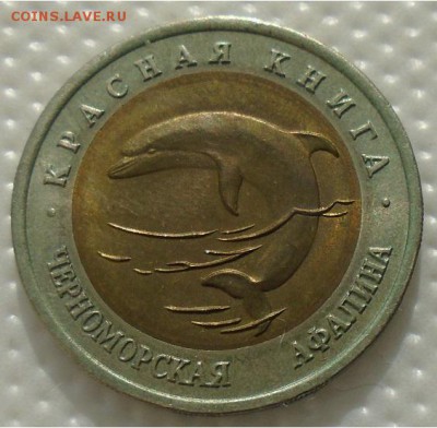 КК АФАЛИНА 50 Р 1993 до 15.02.18 в 22:30 - DSC01638.JPG