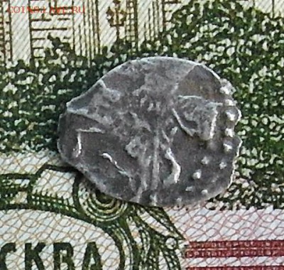 Чешуйка чьих будет???? - SAM_0533.JPG