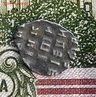 Чешуйка чьих будет???? - SAM_0534.JPG