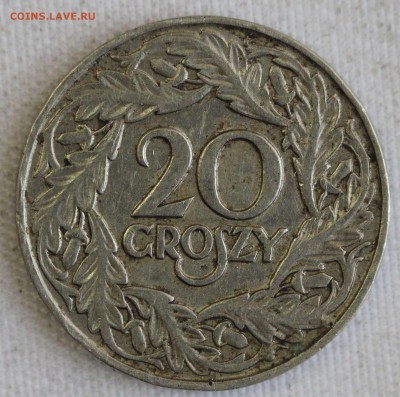 С РУБ. СТАРАЯ ПОЛЬША 20 грошей 1923г. СТАЛЬ до 18.02 в 22-00 - IMG_0912