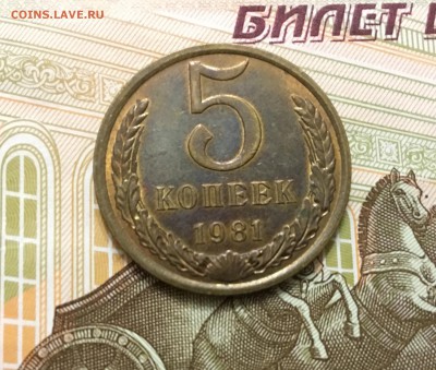 5 копеек 1981 мешковая до 17.02 - 126F25DB-1025-452C-B603-46A0FAD1153E