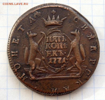 5 копеек 1771 Сибирская оценка - P2140099.JPG