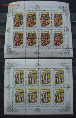 СССР. 1986 г.. Ядовитые грибы. (МЛ)  До 18.02.18 г.. - IMG_6473.JPG