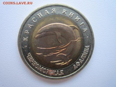 КК АФАЛИНА 50 руб 1993 до 18.02.18 в 22:30 - IMG_9029.JPG