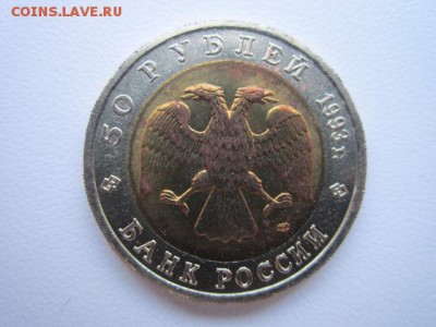 КК МЕДВЕДЬ 50 руб 1993 до 18.02.18 в 22:30 - IMG_9035.JPG