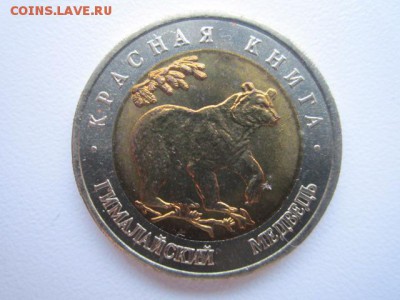 КК МЕДВЕДЬ 50 руб 1993 до 18.02.18 в 22:30 - IMG_9033.JPG