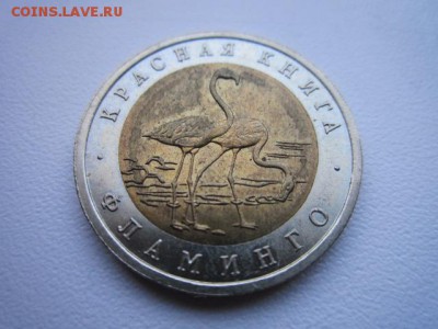 КК ФЛАМИНГО 50 руб 1994 до 18.02.18 в 22:30 - IMG_9042.JPG