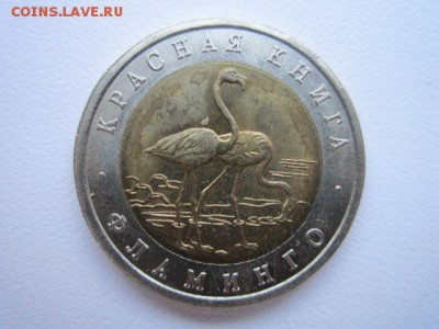 КК ФЛАМИНГО 50 руб 1994 до 18.02.18 в 22:30 - IMG_9041.JPG
