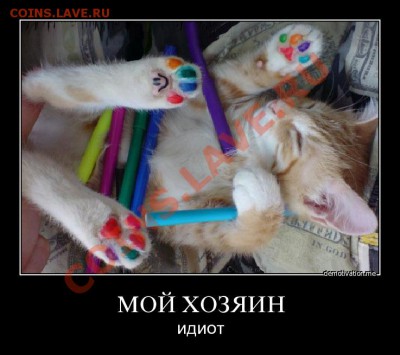 юмор - ля идиото