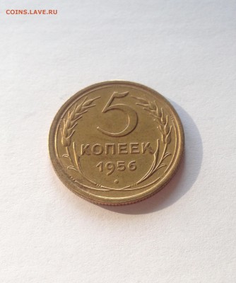 5 копеек 1956г. , до 22.02.18г. - 556