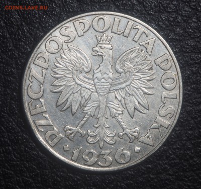 Польша 2 злотых 1936 Парусник до 19.02.2018 в 22.00 - P2171748.JPG