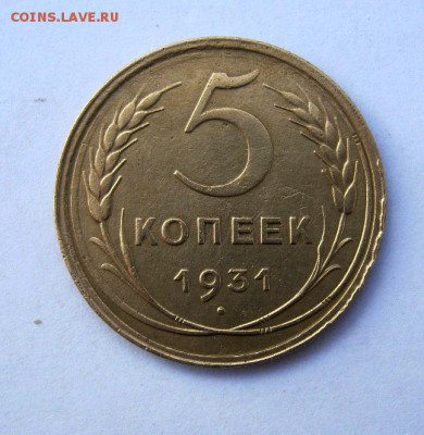 5 копеек 1931 г. до 21.02 в 22-00. - IMG_0636.JPG