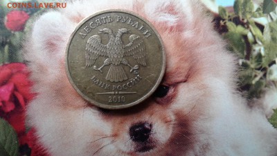 10р 2010г ммд шт.в? И 2011 шт б? - 1518866545082-1939582477