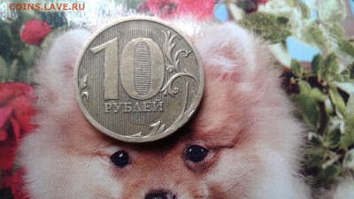 10р 2010г ммд шт.в? И 2011 шт б? - 1518866910596-900991093