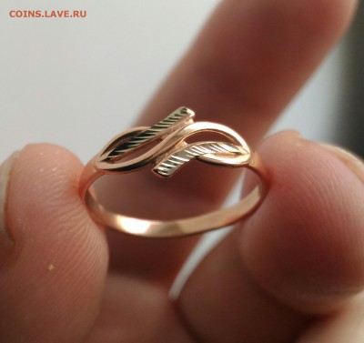 Кольцо,отбраковка проб.инспекции до 21.02 до 22.00 - P_20180214_093417_1